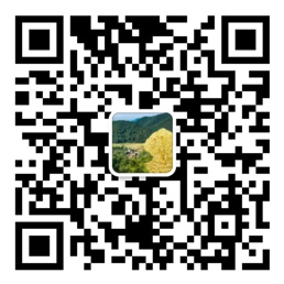 赢多多app